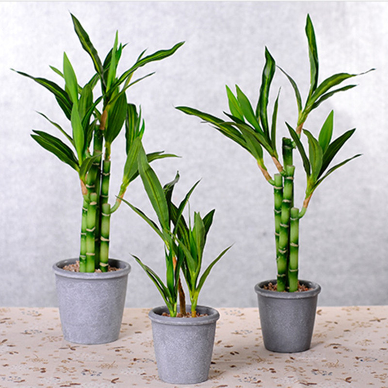 New 40cm rFtificial Lucky Bamb - Desktop Organizer Bamboo avaliação e preço
