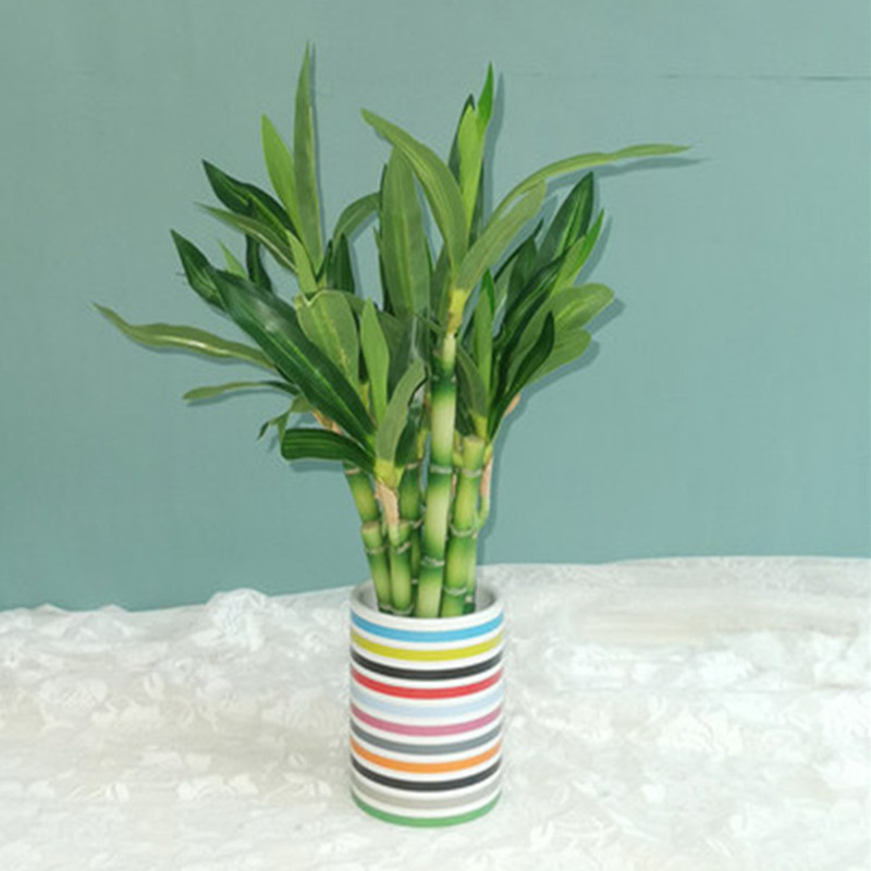 New 40cm rFtificial Lucky Bamb - Desktop Organizer Bamboo avaliação e preço