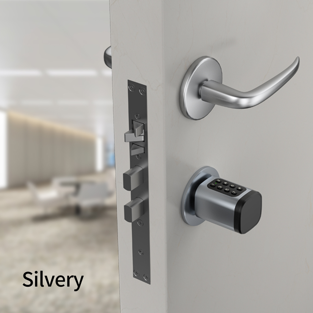 Tuya Smart Mortise Lock IP65 B - Home Office Google avaliação e preço