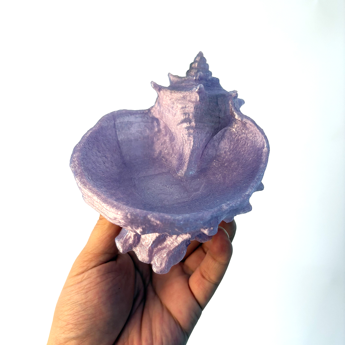 Pearlescent Purple Conch-Shape - Home Office Desk Ideas avaliação e preço